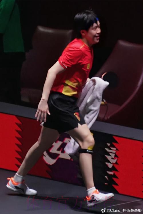 含金量!林昀儒夺冠引热议,王楚钦队友,陪樊振东看霉霉演唱会 含金量!林昀儒夺冠引热议,王楚钦队友,陪樊振东看霉霉演唱会